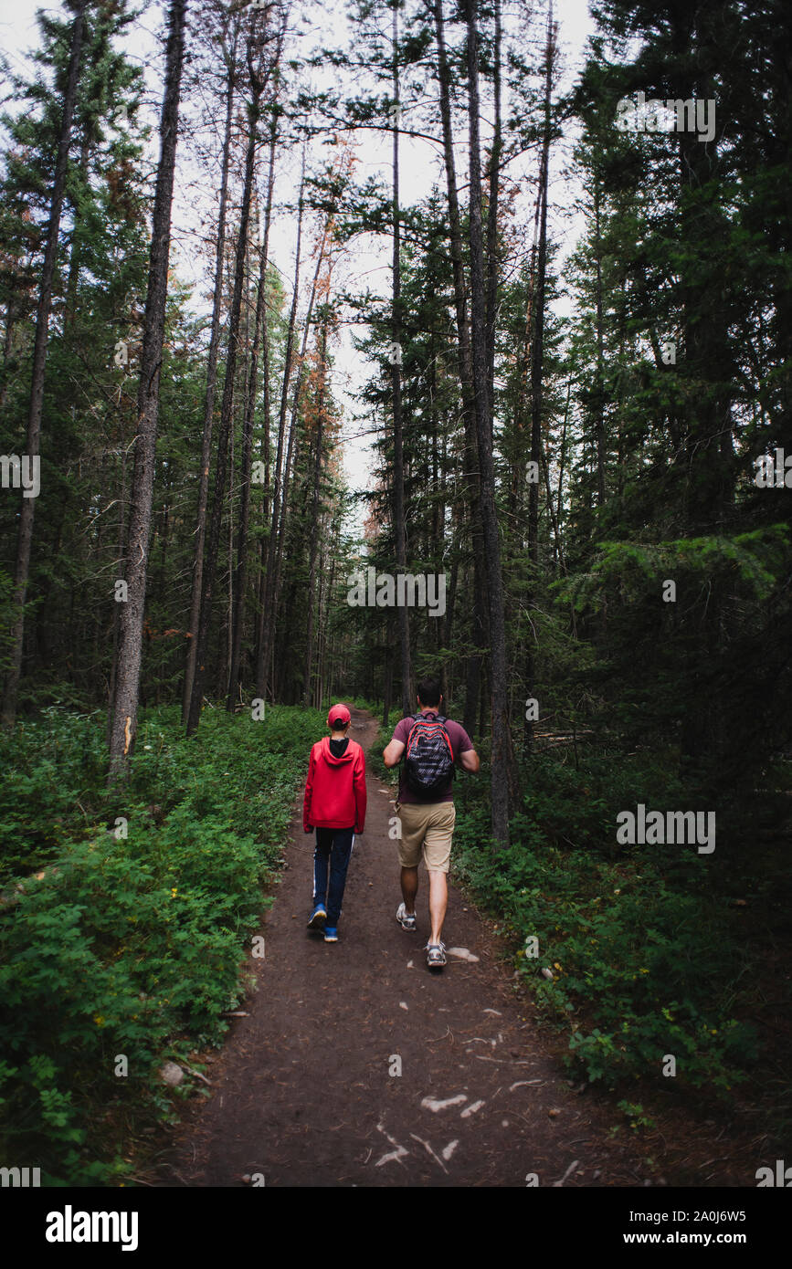 Father and son hiking on a path through an evergreen forest together. Stock Photo