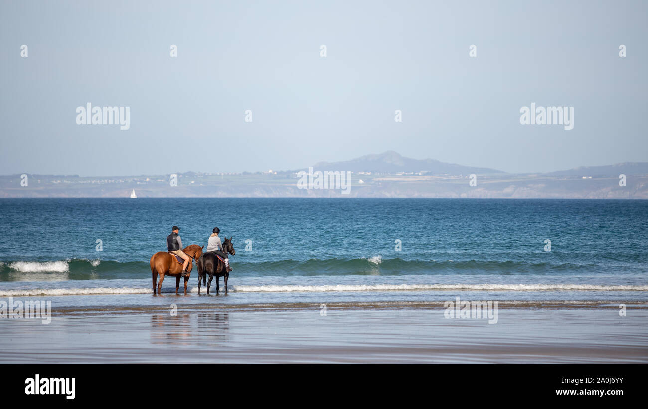 Two white horses on beach hi-res stock photography and images - Alamy