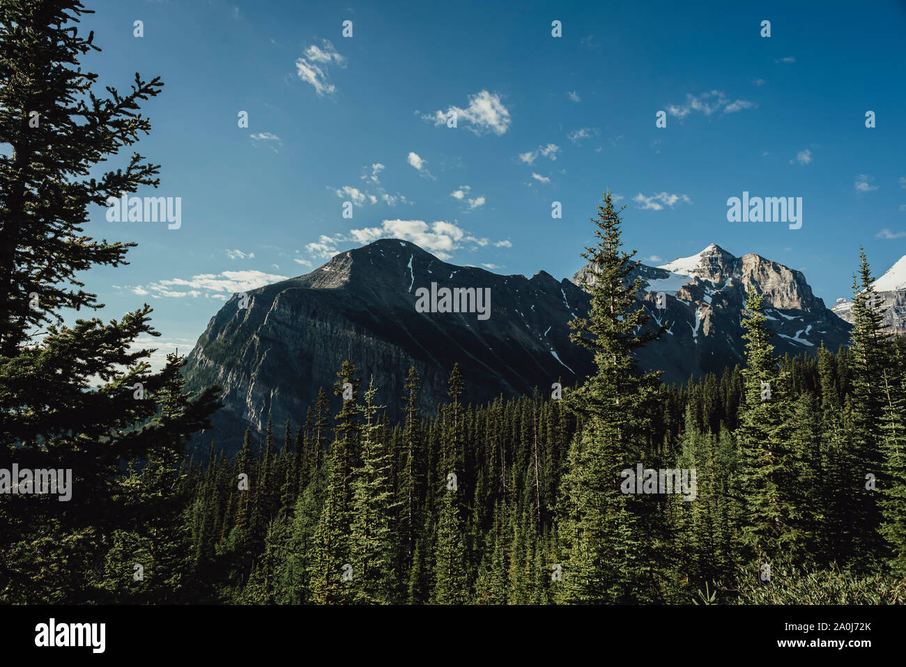 View of mountains and forest from hiking path through the Rockies. Stock Photo