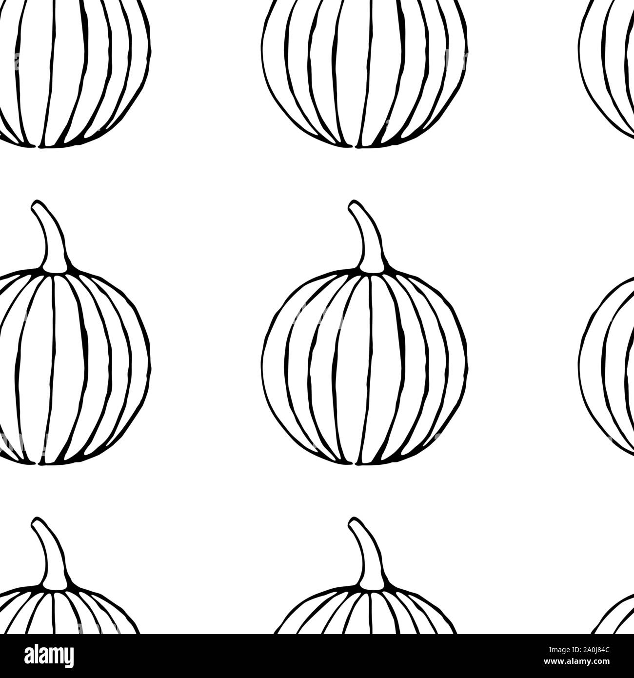 vector-seamless-pattern-with-hand-drawn-outline-pumpkins-garden