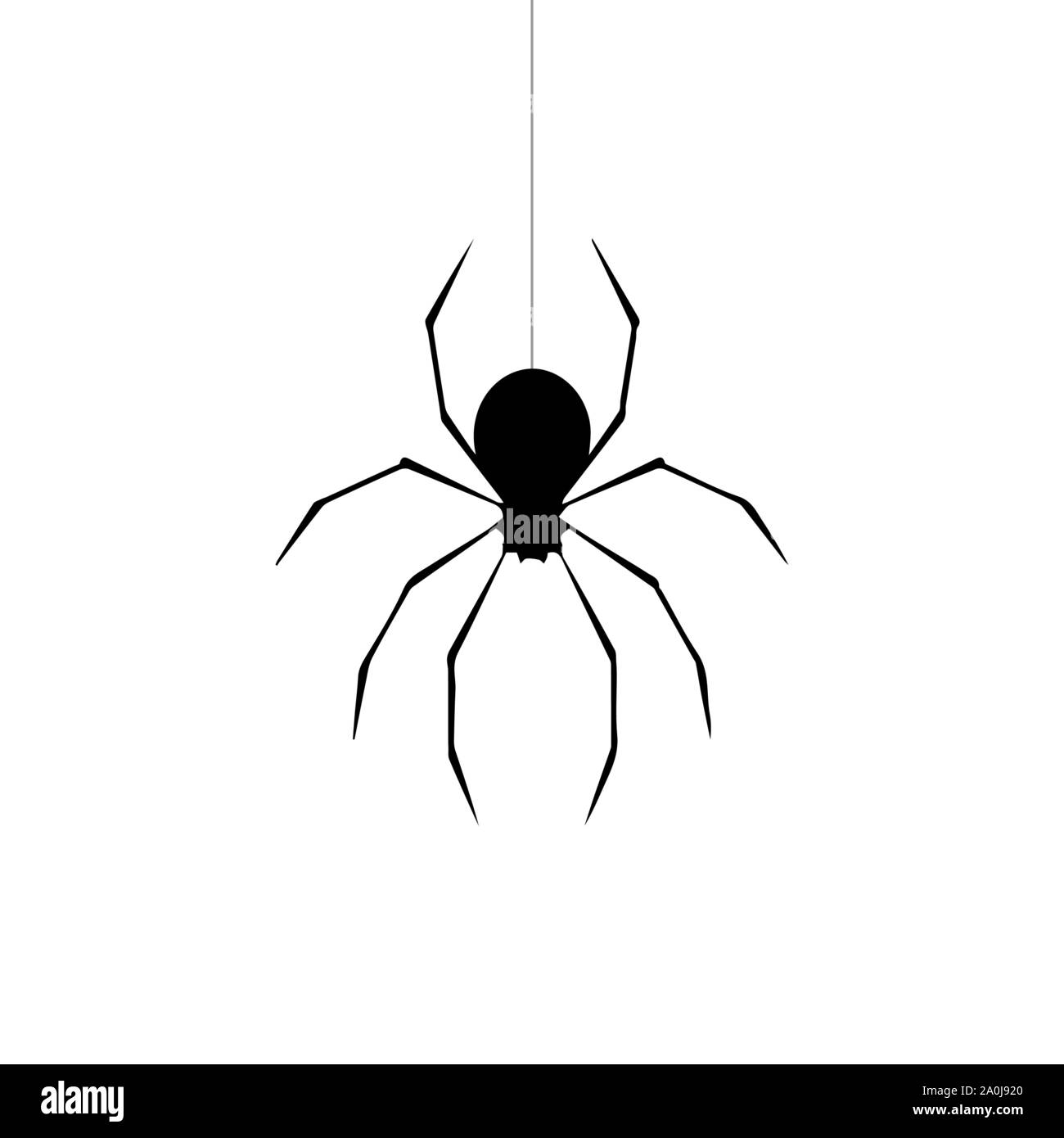 Silhouette of a spider hanging from web Royalty Free Vector