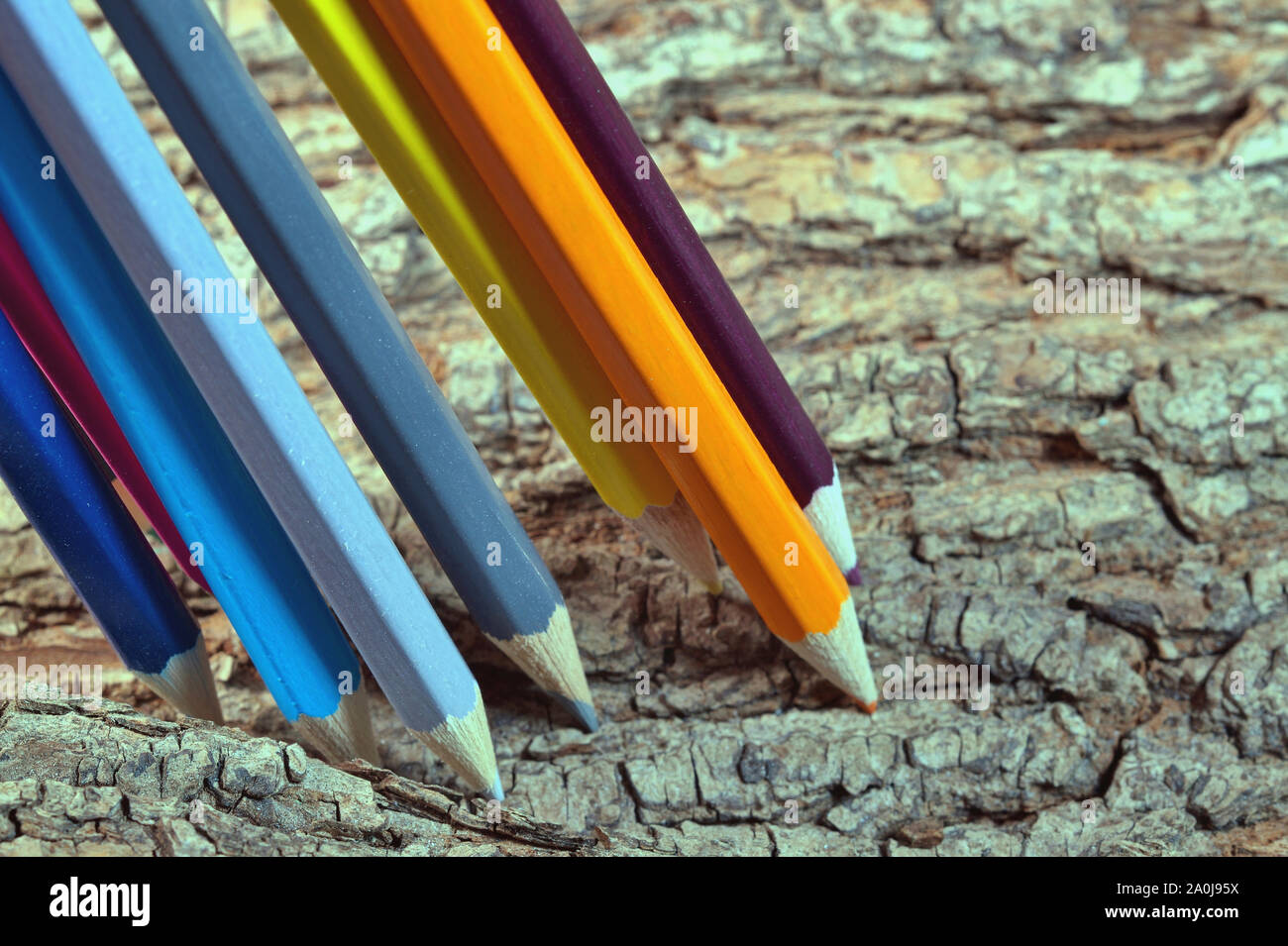 green energy concept and of sustainable resources. colored pencils on