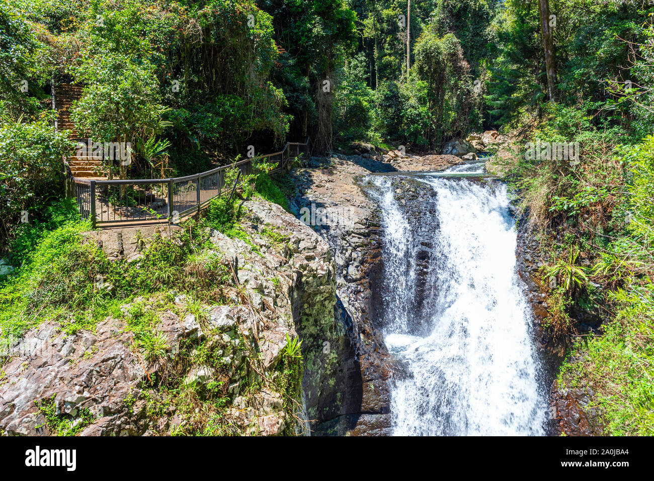 Waterfall view, Gold Coast, Queensland, Australia Stock Photo Alamy