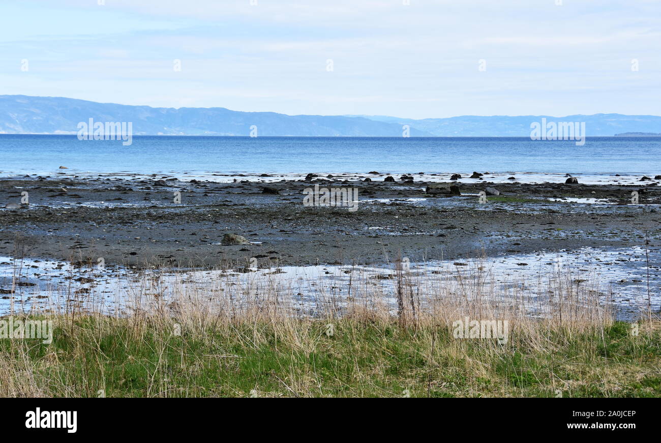 Low tide blue sky and shore in Trondheimsfjorden Norway Stock Photo
