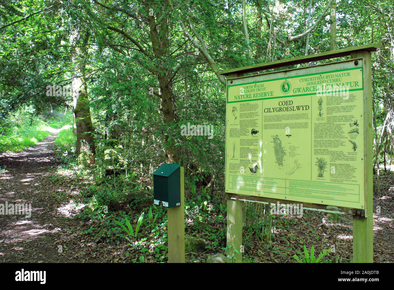 Coed Cilygroeslwyd North Wales Wildlife Trust Nature Reserve near
