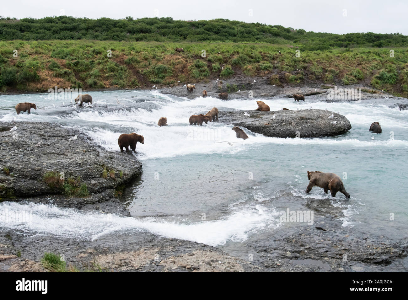 Game sanctuary hires stock photography and images Alamy