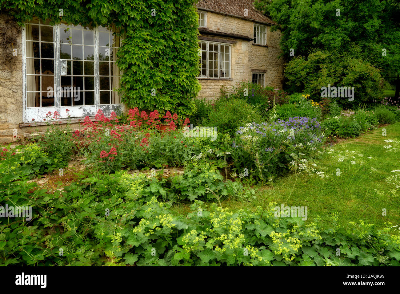 Trees in front garden hi-res stock photography and images - Alamy