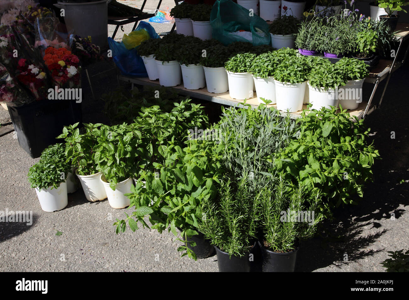 Vouliagmeni Athens Attica Greece Market pots of herbs on sale mint,basil and rosemary Stock Photo