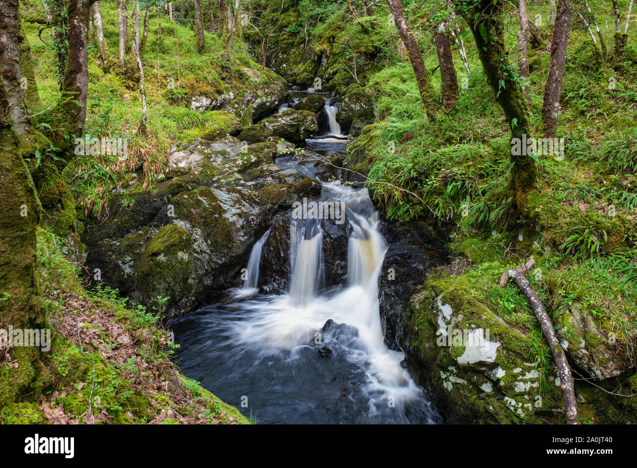 Cordorcan burn waterfalls in the Wood Of Cree Nature Reserve, Newton Stewart, Dumfries and Galloway, Scotland Stock Photo