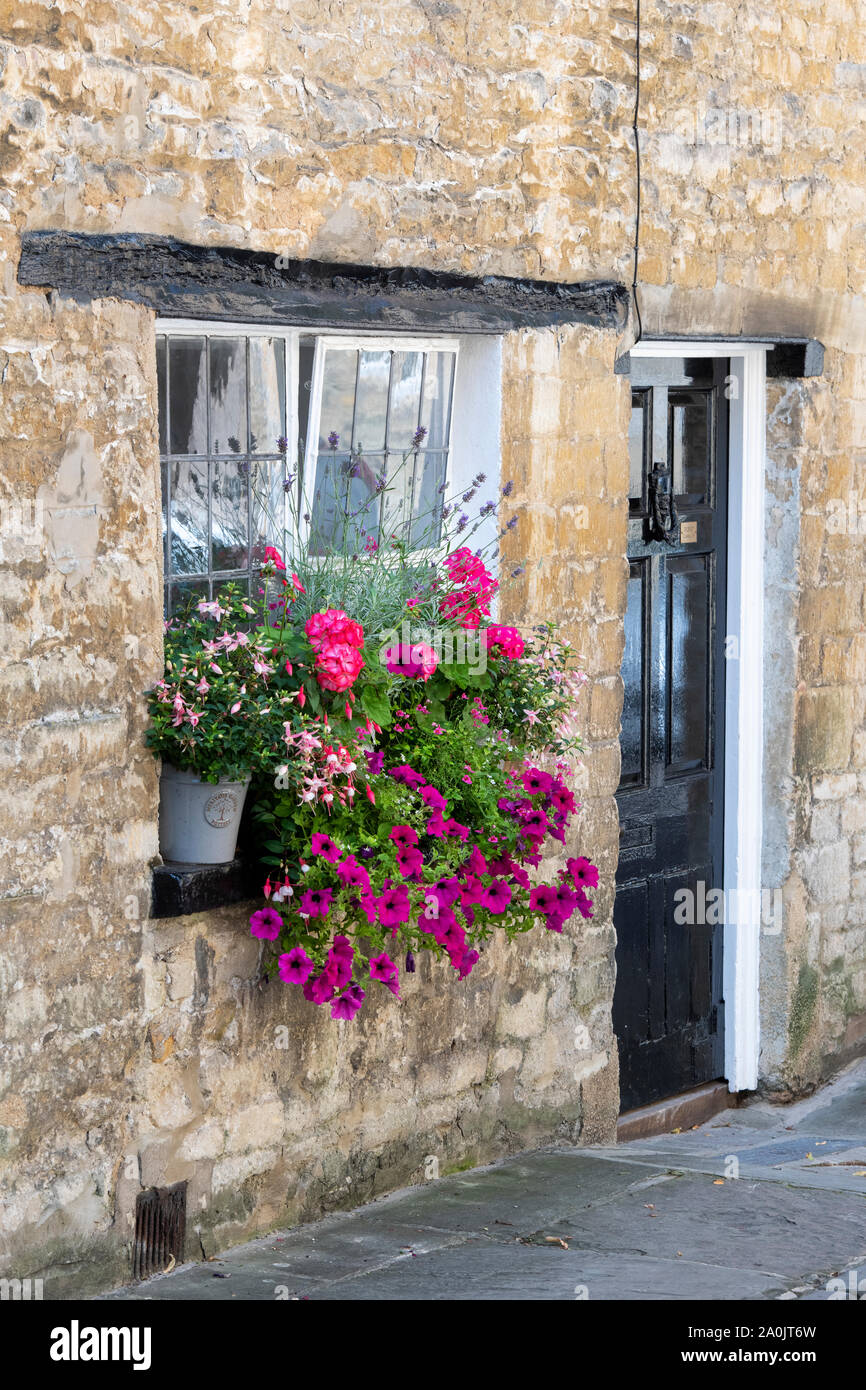 Floral window box and plant pot outside a cottage along coxwell street, Cirencester, Cotswolds, Gloucestershire, England Stock Photo