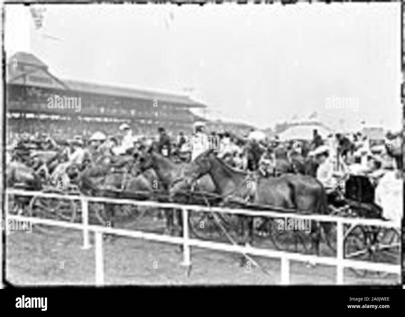 Washington Park Race Track, c. 1903 Stock Photo Alamy