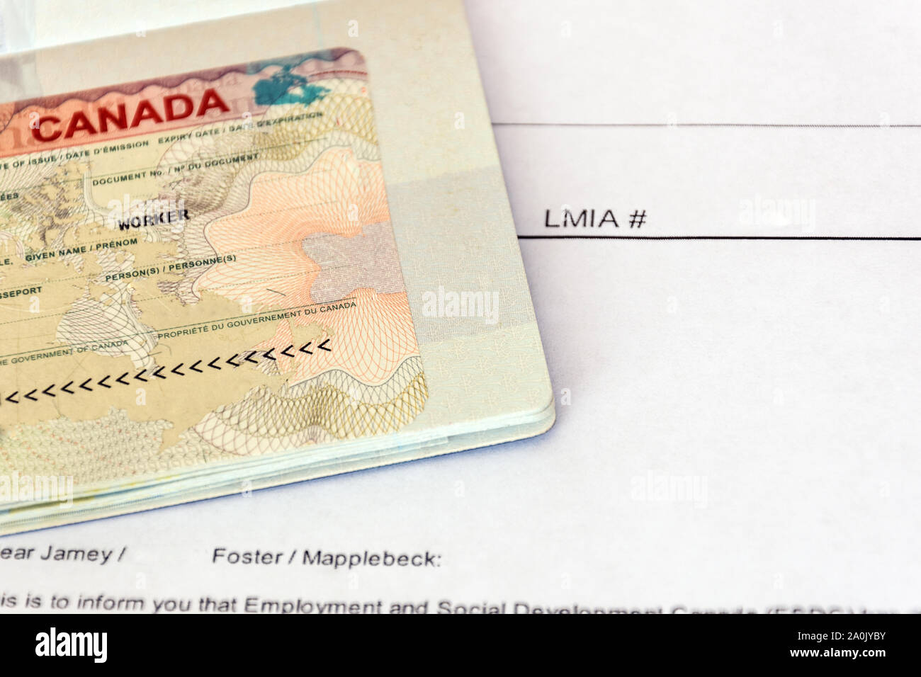 Canadian working visa and LMIA, Labour Market Impact Assessment paper document. Immigration to Canada concept. Stock Photo