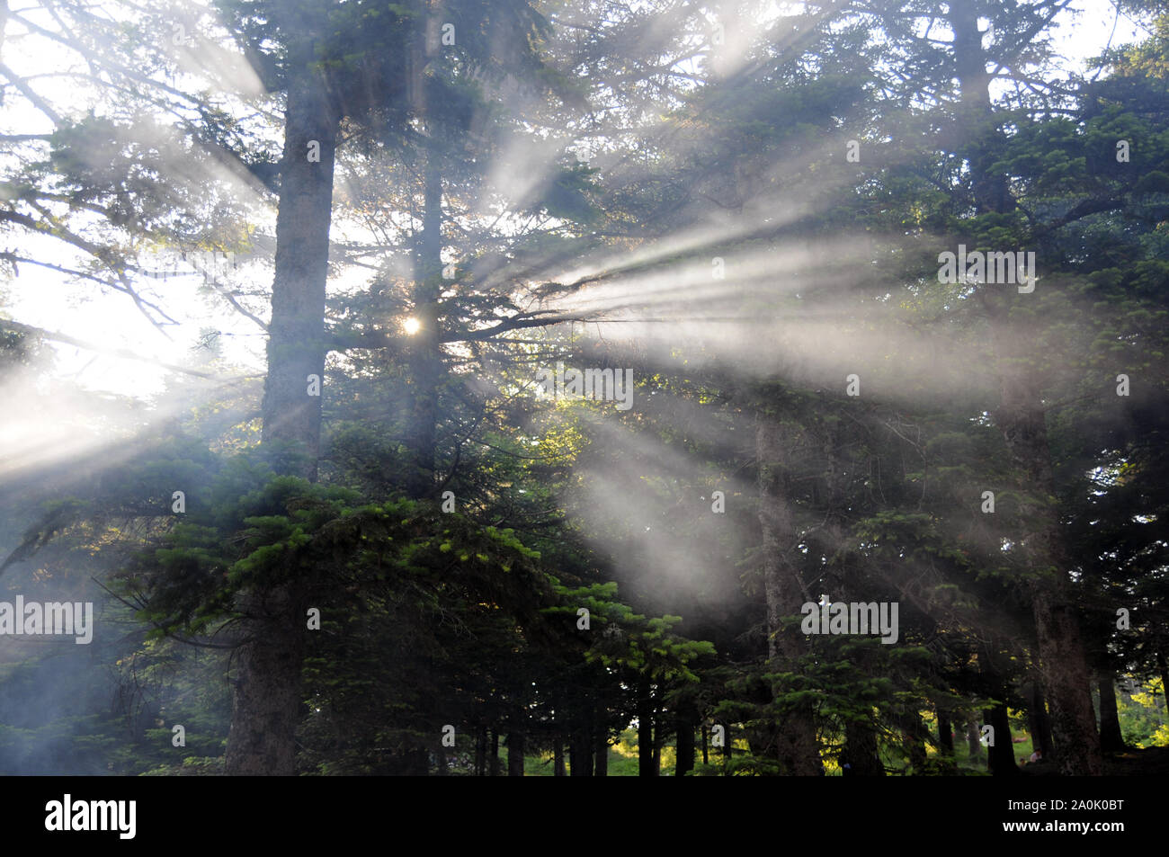 Beams flow hi-res stock photography and images - Alamy
