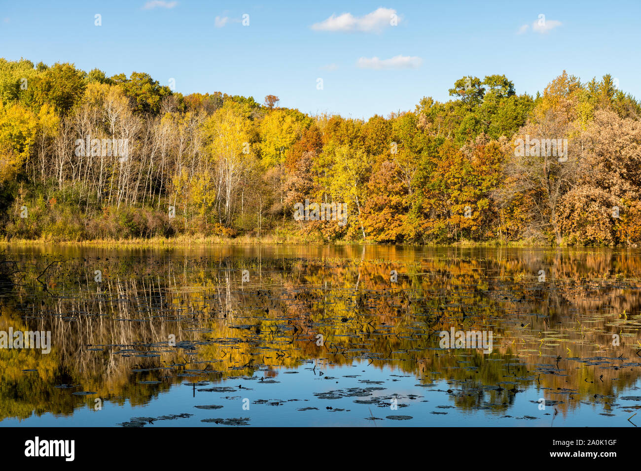 Autumn leaves reflected in Jensen Lake at Lebanon Hills Regional Park