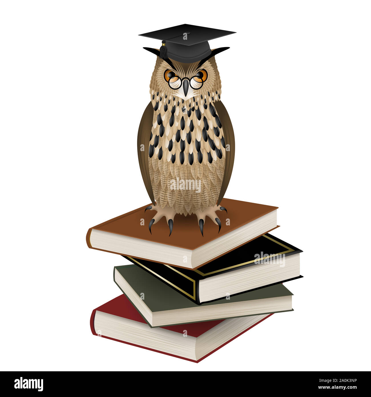 owl with graduation hat over the books illustration Stock Photo