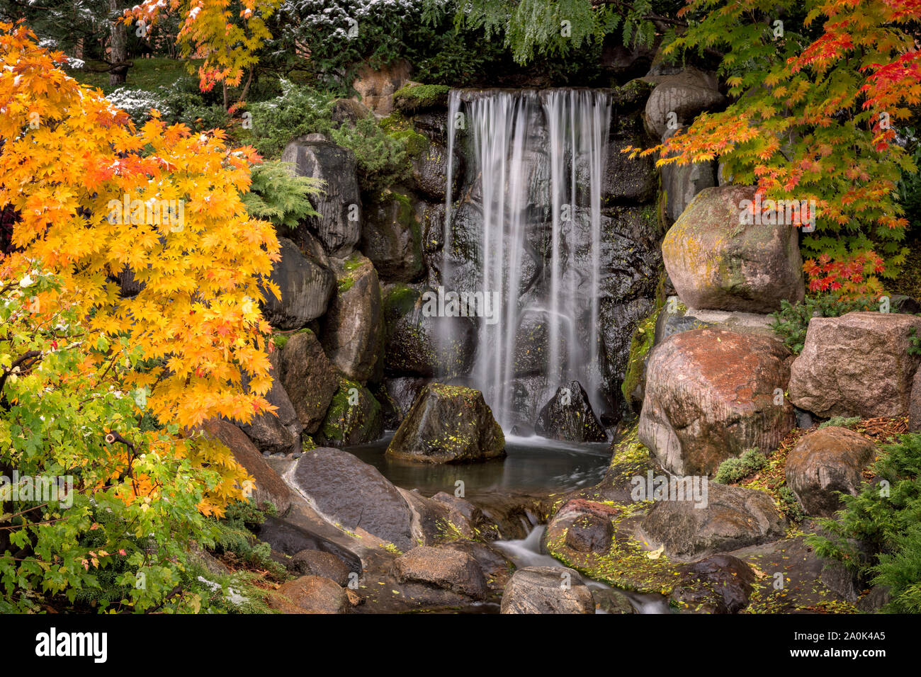 Autumn leaves and waterfall at the Japanese garden at Normandale Community College in Bloomington, Minnesota. Stock Photo