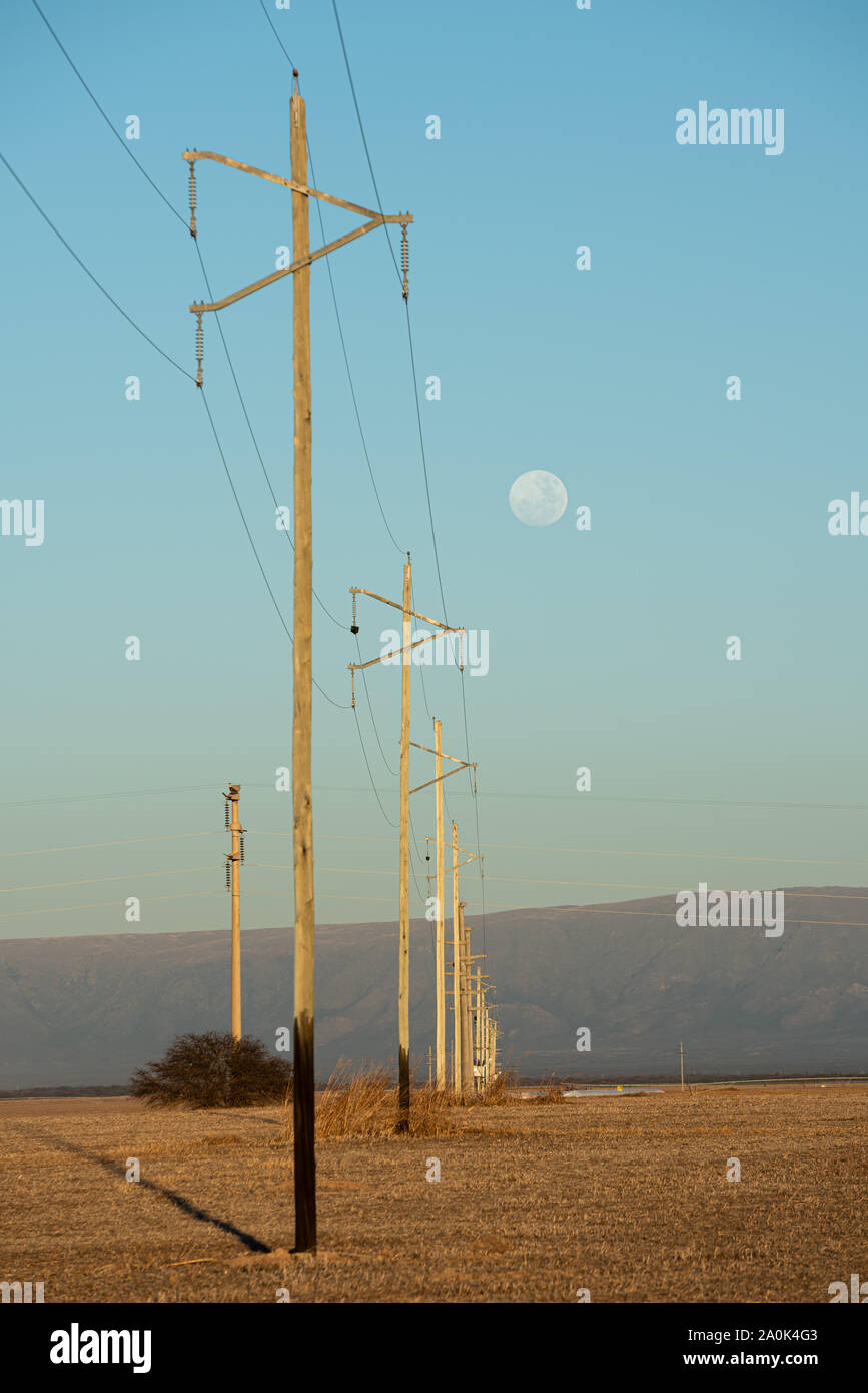 Electrical poles in countryside and a full moon. Stock Photo