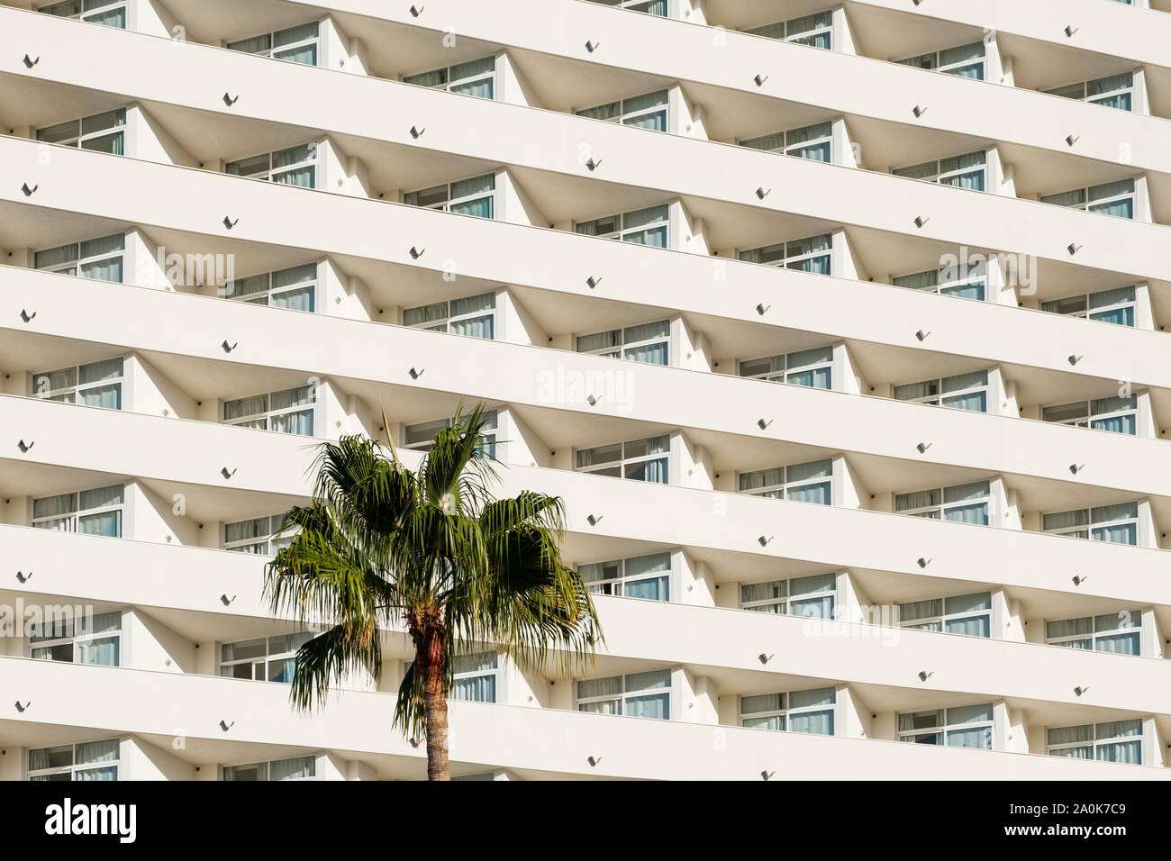 hotel building facade pattern and  palm tree - Stock Photo