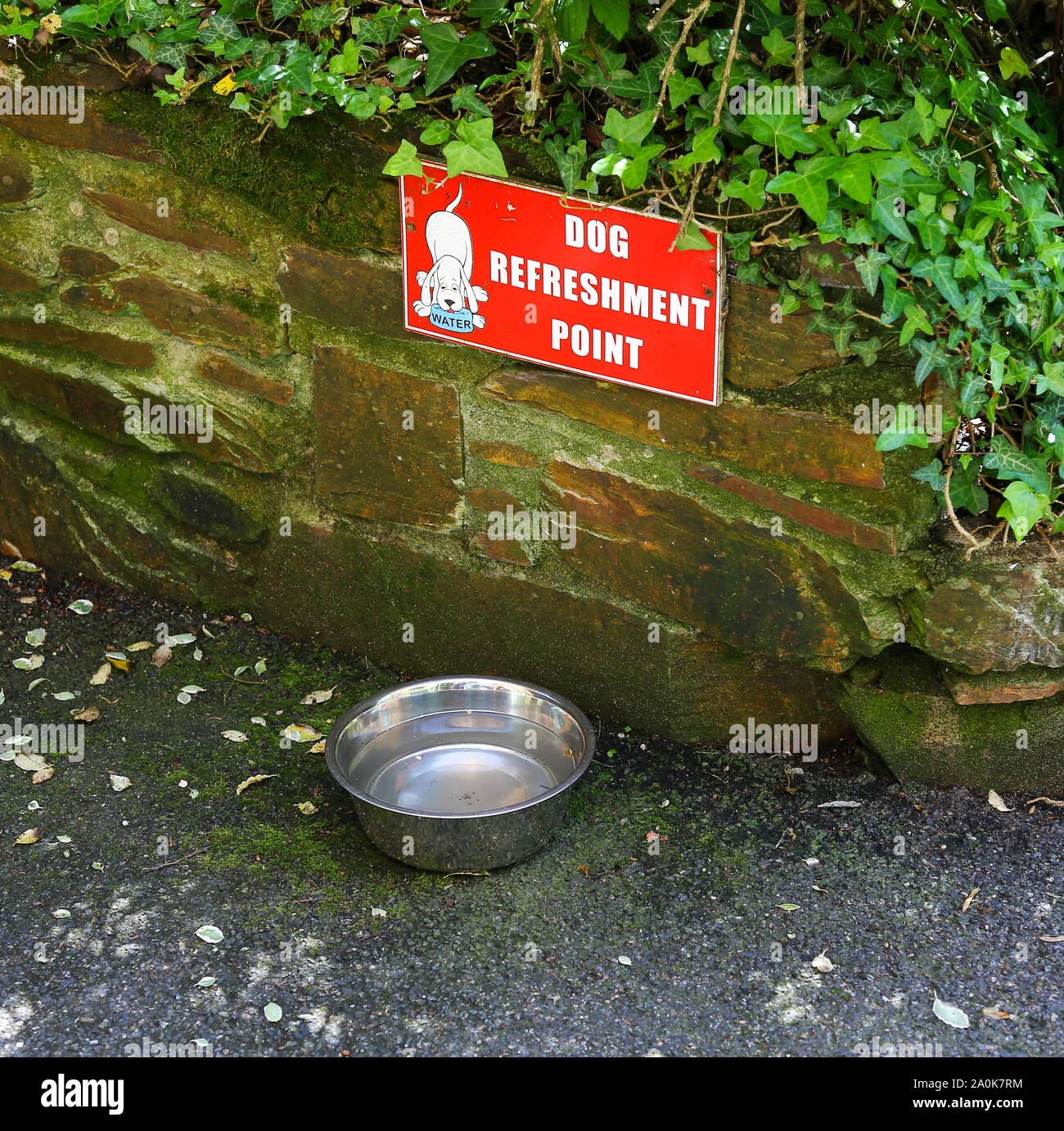 A sign over a dog bowl with water in it saying 'dog refreshment point', England, UK Stock Photo