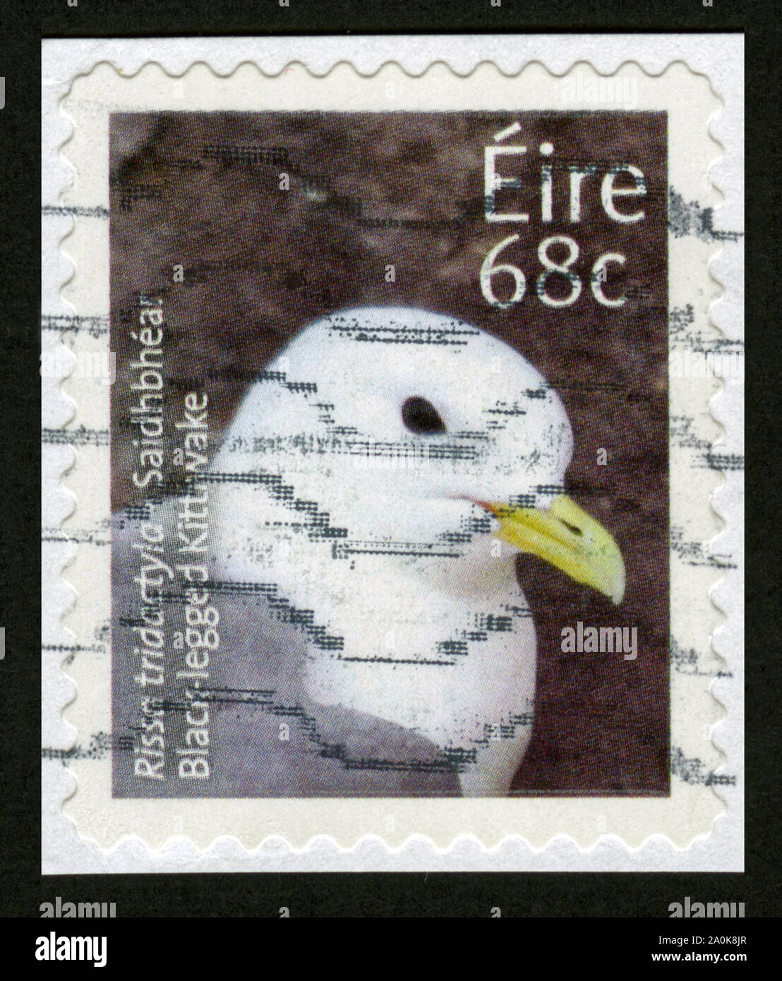 Stamp print in Ireland, birds,Blacklegged Stock Photo Alamy