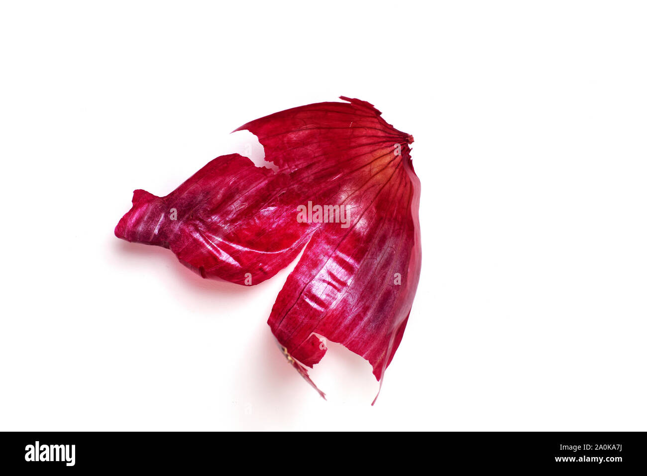Red onion skin isolated on white background. Design element. Beauty in nature. Waste management