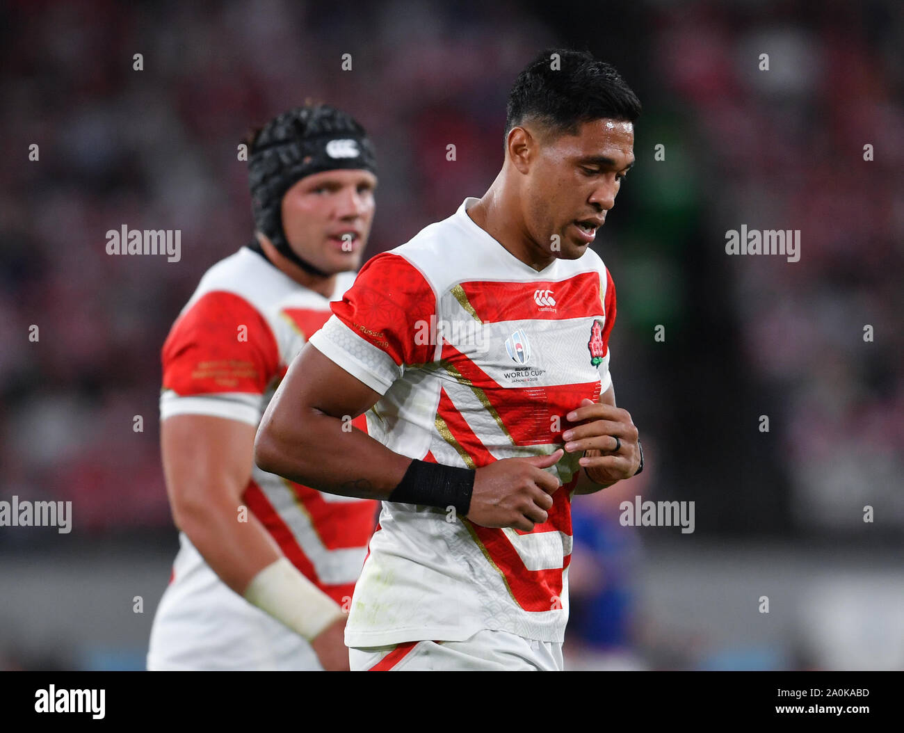 10+ Campeonato Mundial De Rugby Union 2019 fotos de stock, imagens