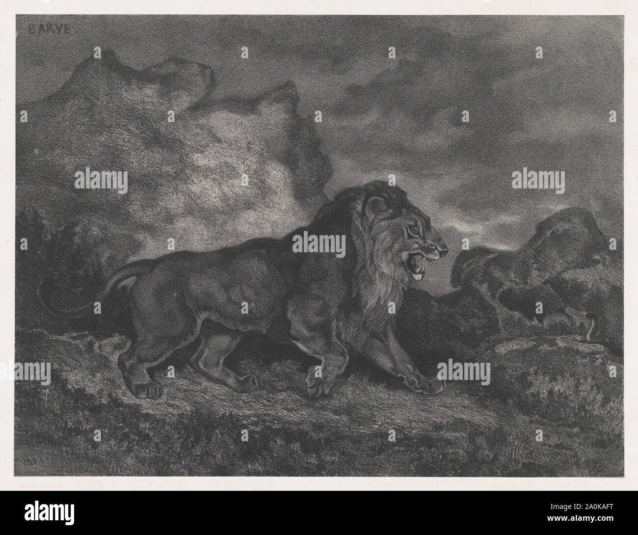 Lion and Serpent,ca. 1868.jpg - 2A0KAFT Stock Photo