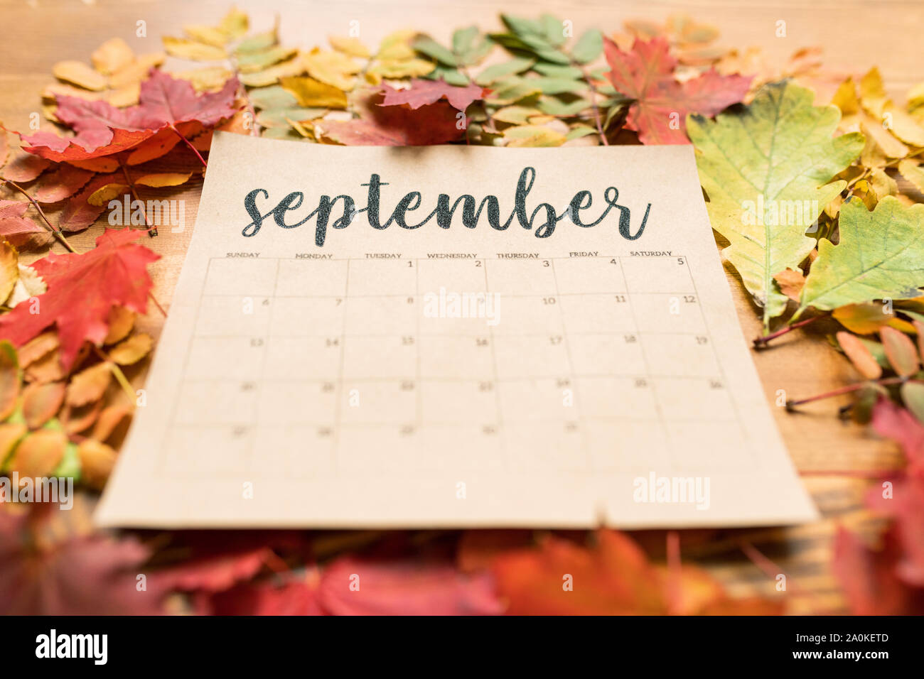 Calendar for September on table with red, yellow and green autumn ...