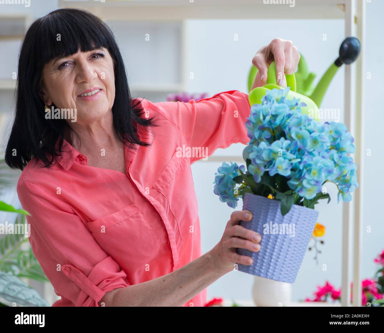 The woman florist working in the flower shop Stock Photo - Alamy