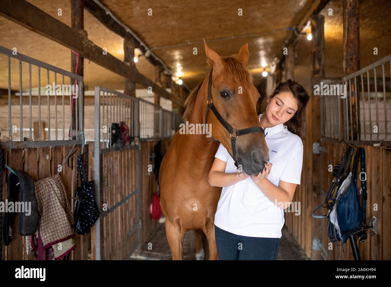 Young active woman in white shirt standing inside stable by purebred racehorse Stock Photo