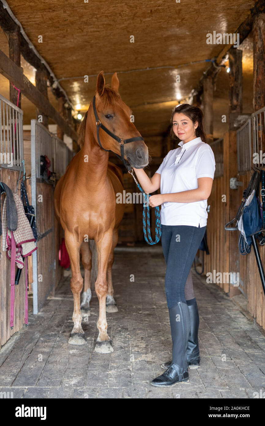 Young sportswoman standing by purebred racehorse inside stable Stock Photo