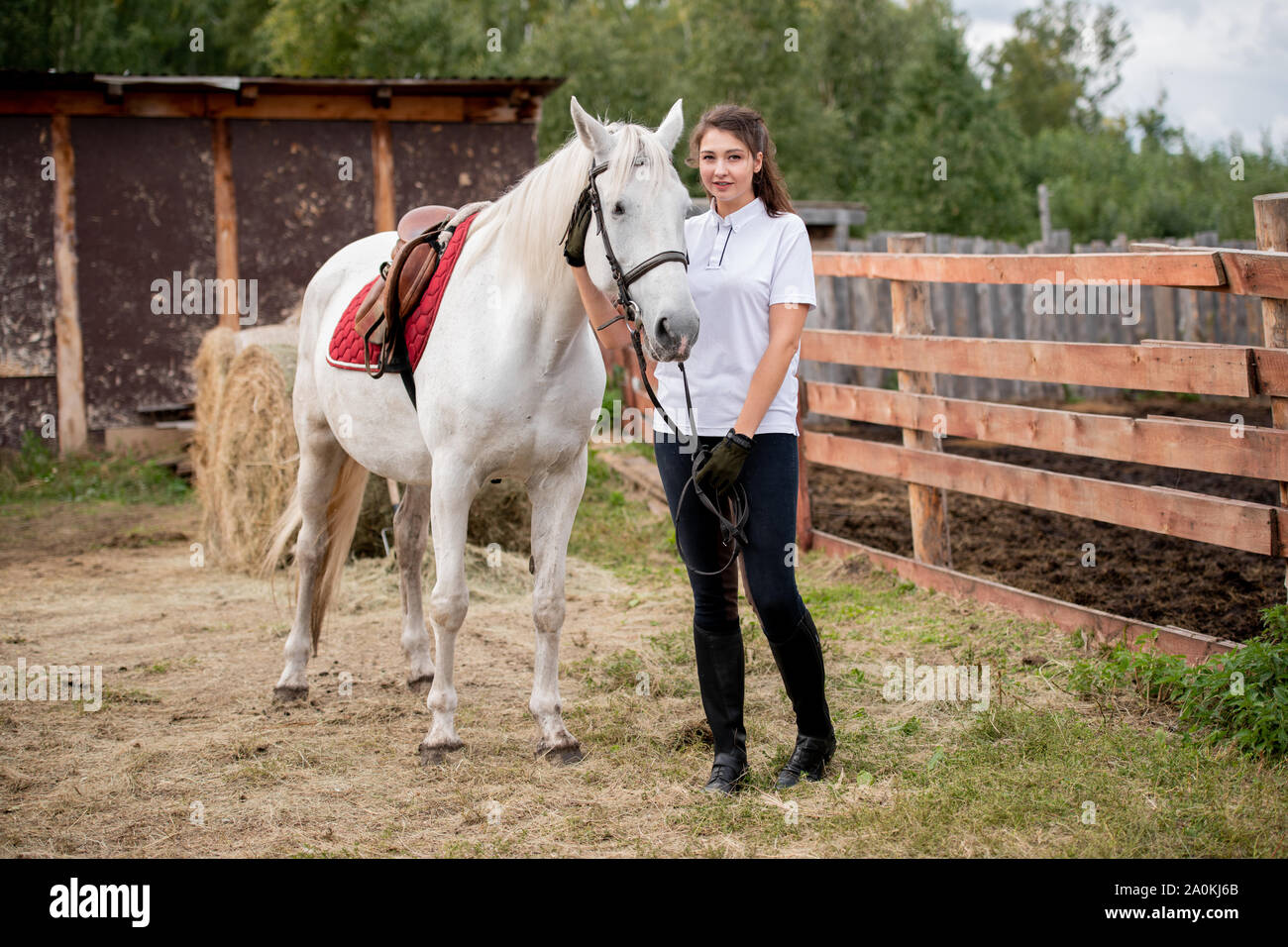 Young active woman chilling out with white purebred racehorse Stock Photo