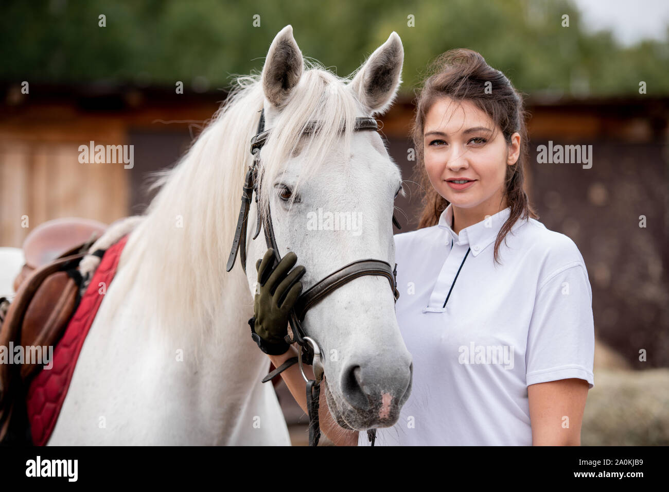 Young woman touching muzzle of purebred racehorse in natural environment Stock Photo