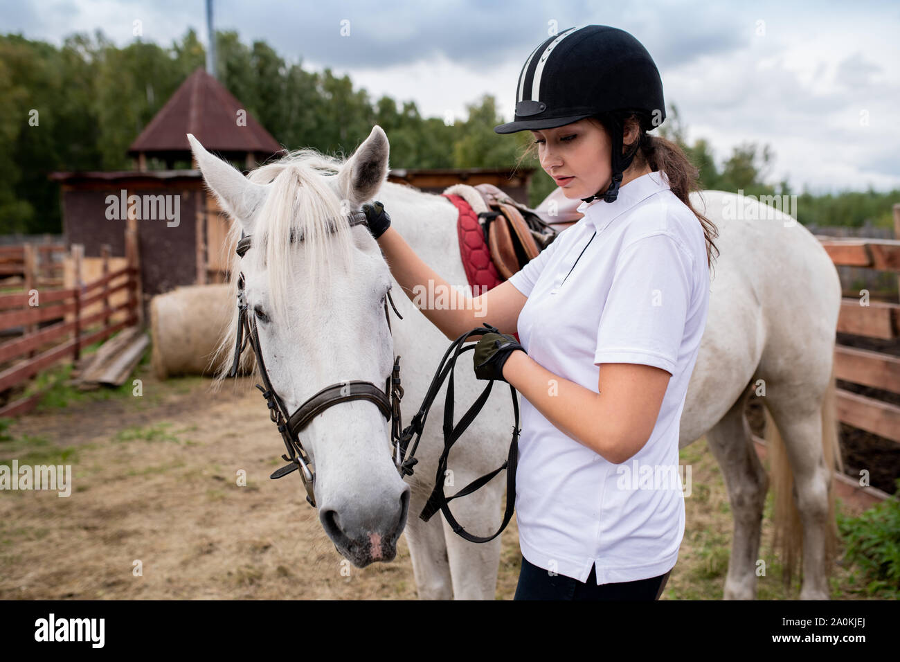 Active girl in equestrian helmet and her racehorse moving down field Stock Photo