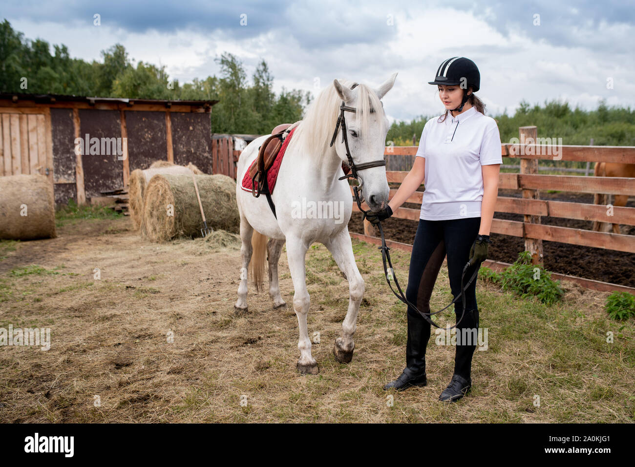 Young woman in equestrian helmet and sportswear chilling out with her racehorse Stock Photo