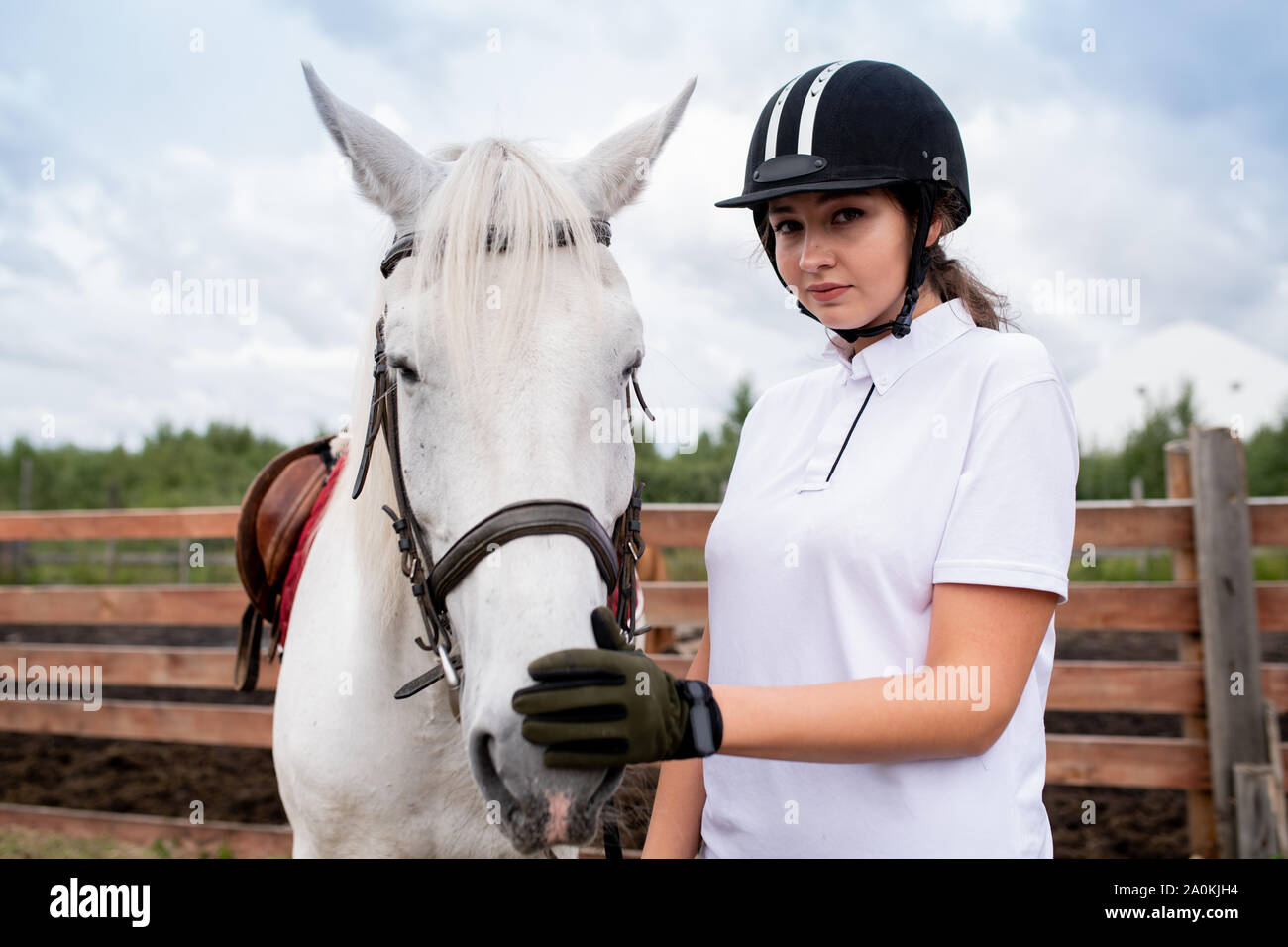 Pretty girl in equestrian helmet and gloves touching nose of white racehorse Stock Photo