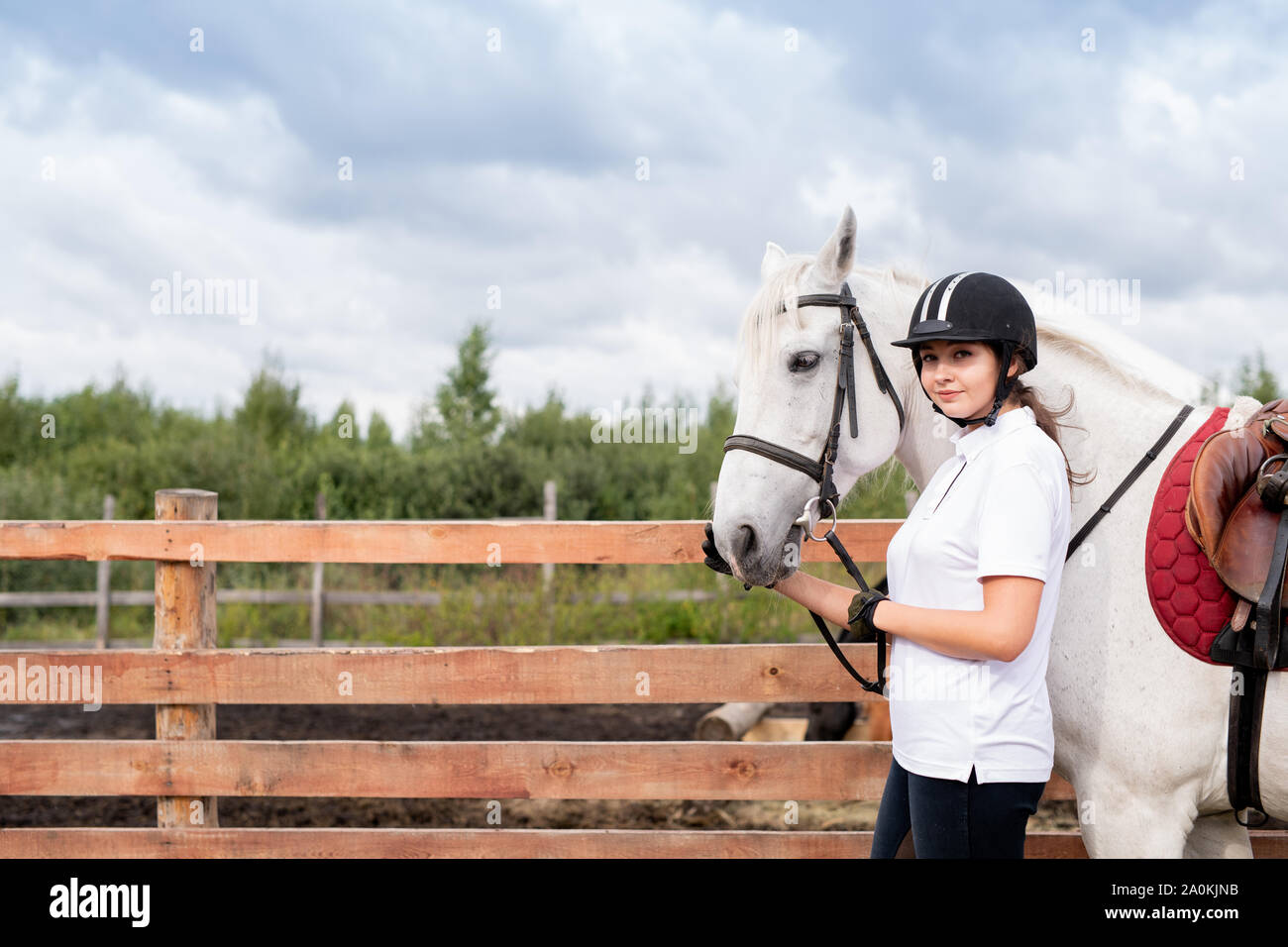 Young woman in equestrian outfit and white racehorse moving along wooden fence Stock Photo