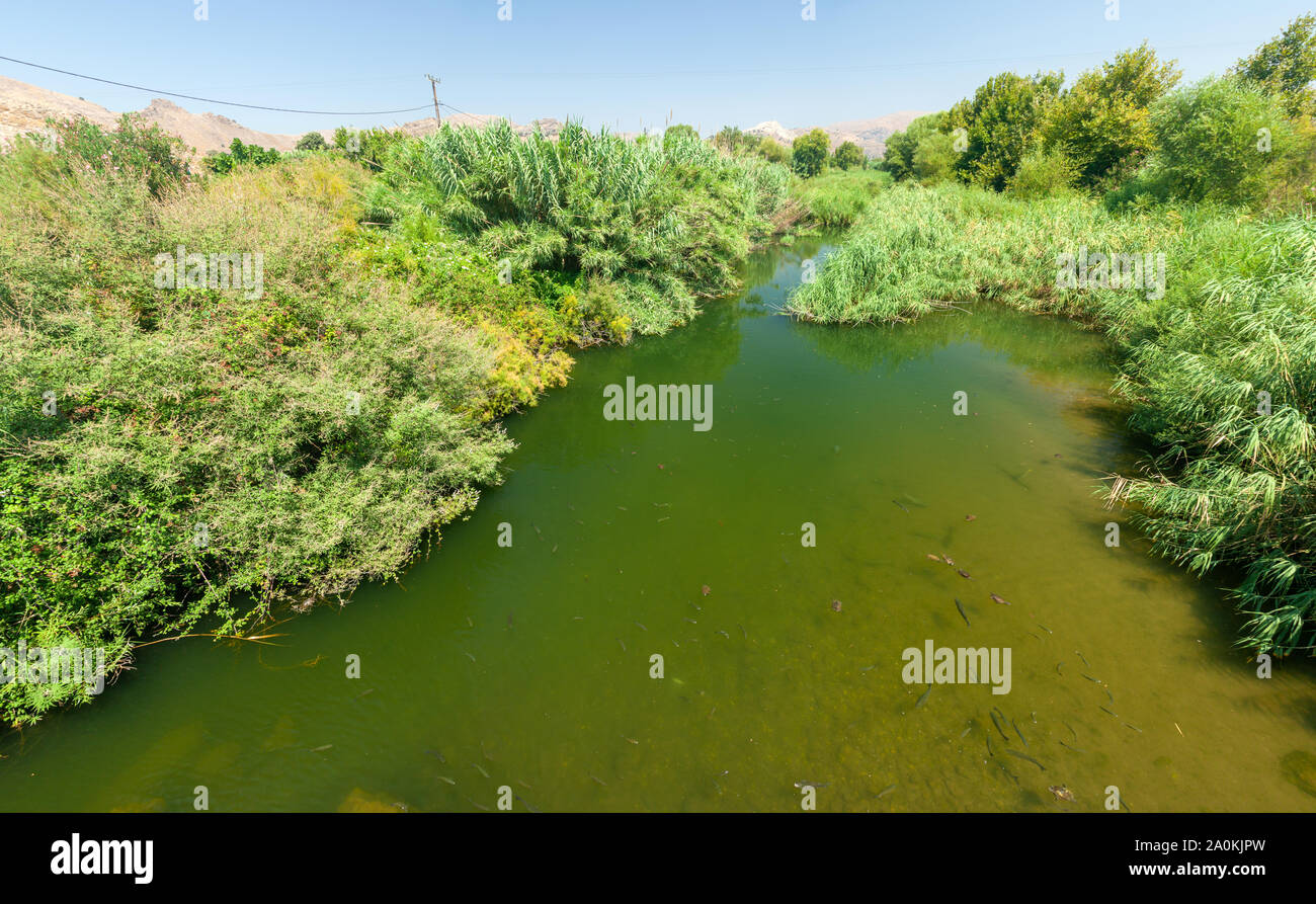 Wetland of Skala Eressos, in Lesvos island, Greece, Europe. Stock Photo