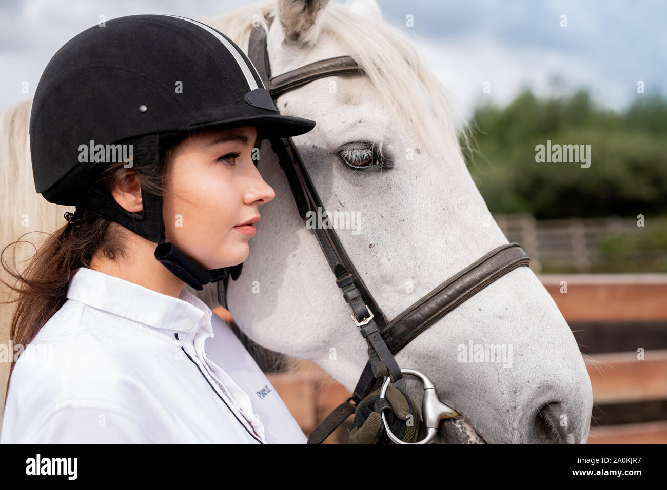 Young calm female in white shirt and equestrian helmet standing by racehorse Stock Photo