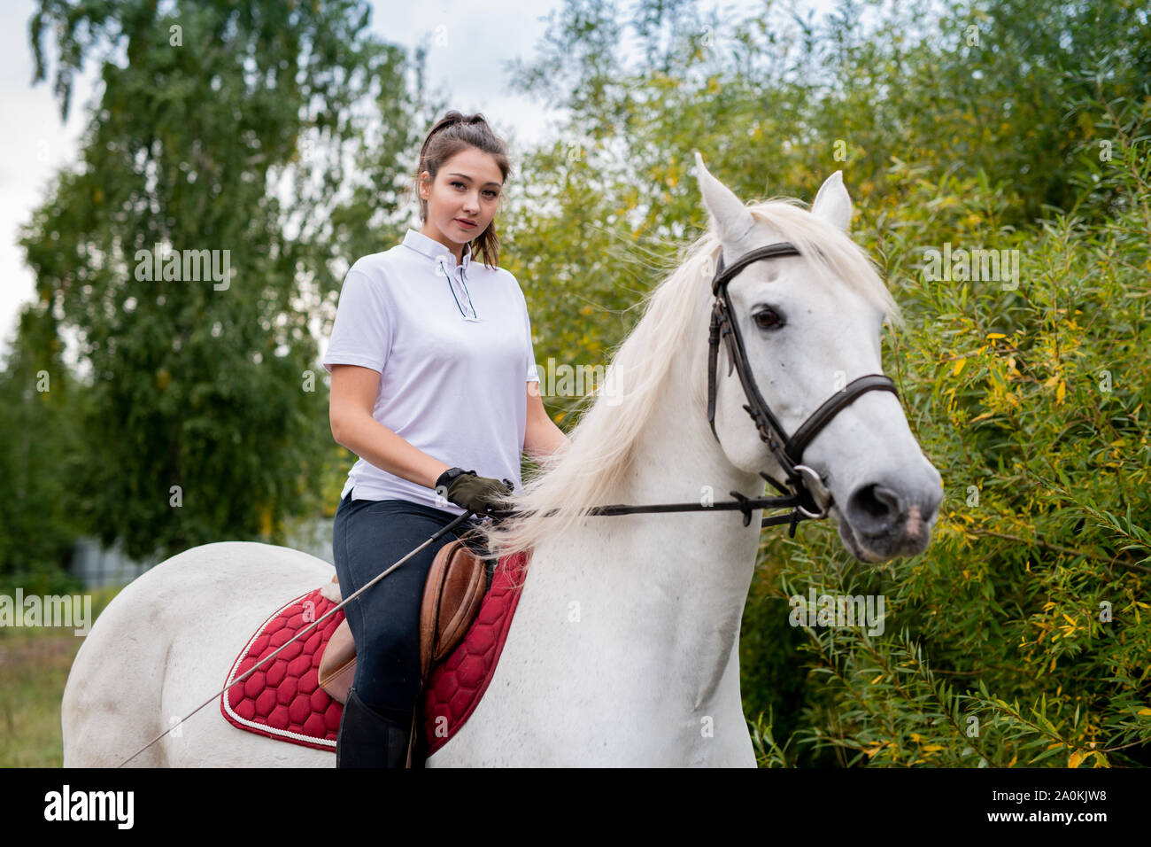 Pretty girl looking at you while sitting on back of white purebred racehorse Stock Photo