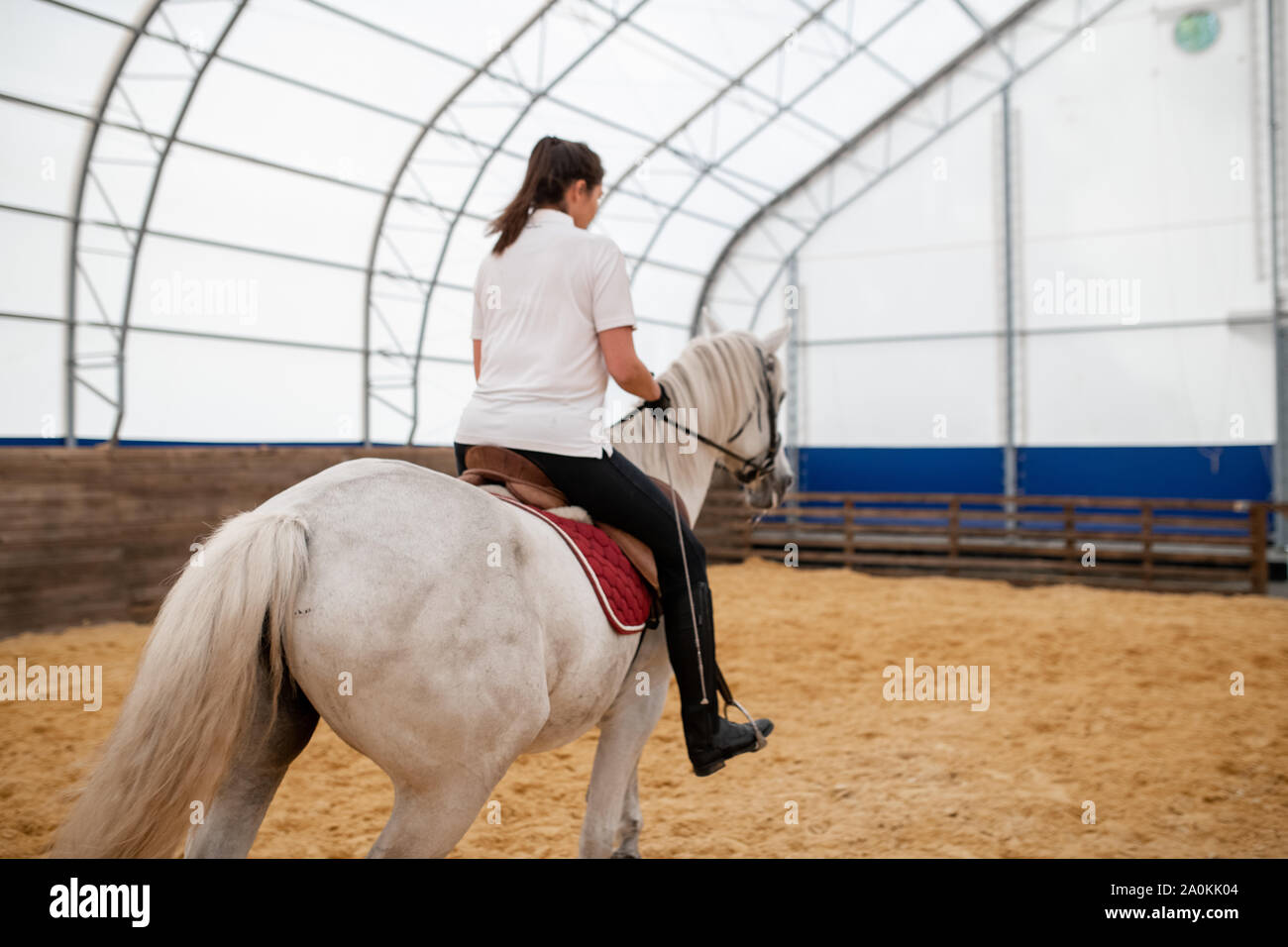 White racehorse with young active woman on back moving down sandy arena Stock Photo