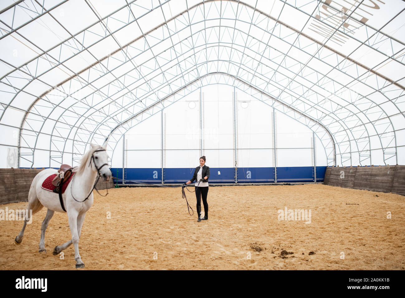 Active girl with bridles looking at white purebred racehorse riding down arena Stock Photo