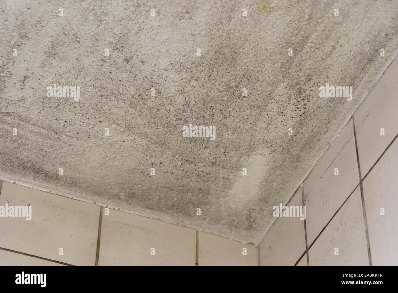 Spot of mold, mould, mildew or fungas on corner of ceiling above dirty tile pale pink wall. Stock Photo