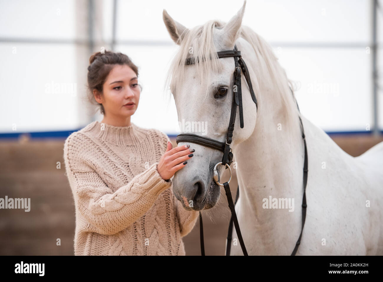 Young brunette woman in white knitted woolen sweater standing by white racehorse Stock Photo