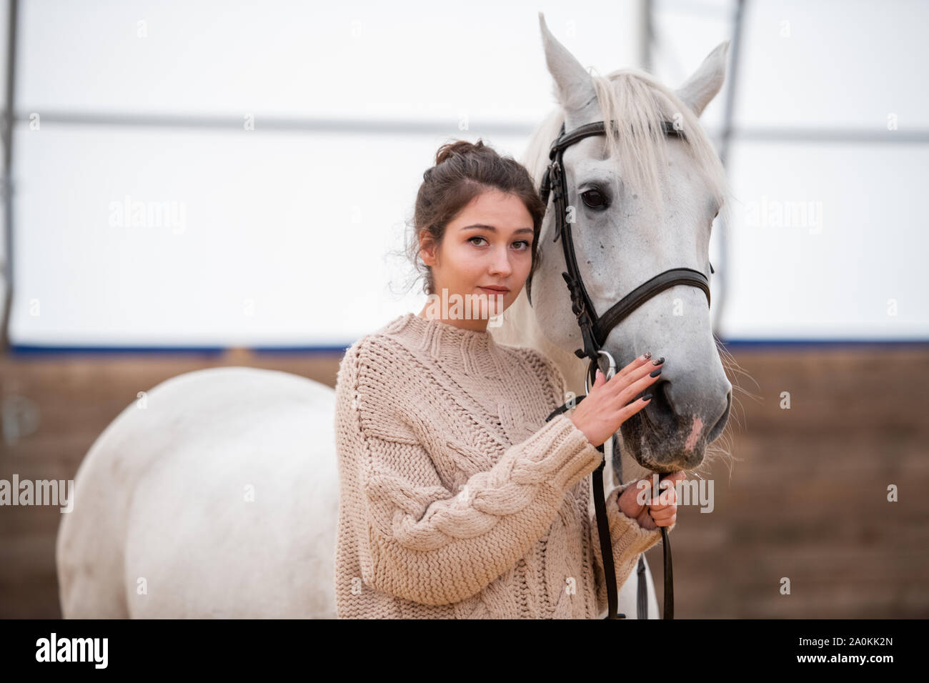 Calm young casual woman in knitted sweater standing by white purebred horse Stock Photo