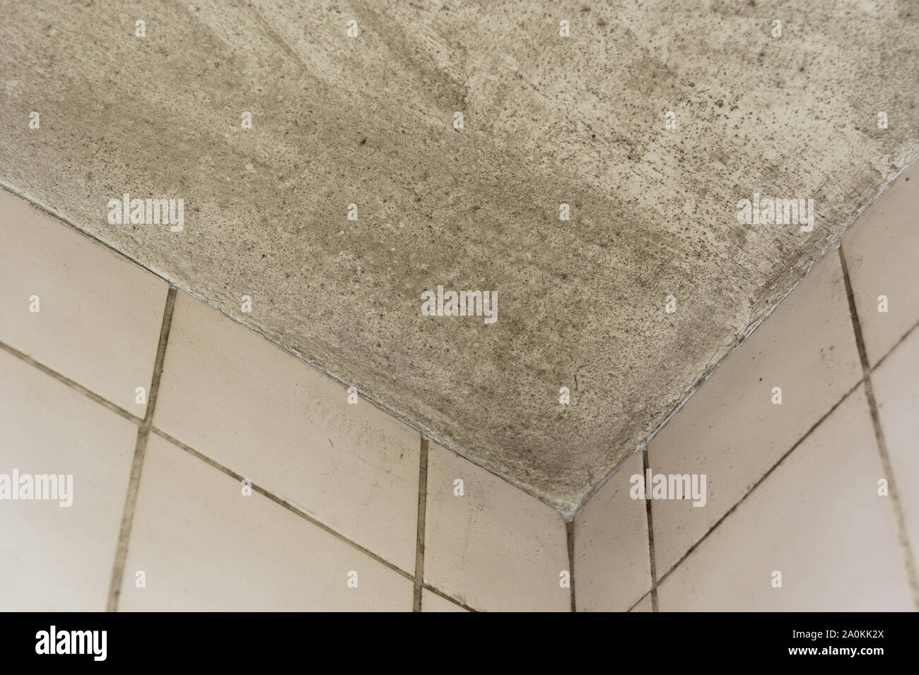 Spot of mold, mould, mildew or fungas on corner of ceiling above dirty tile pale pink wall. Stock Photo