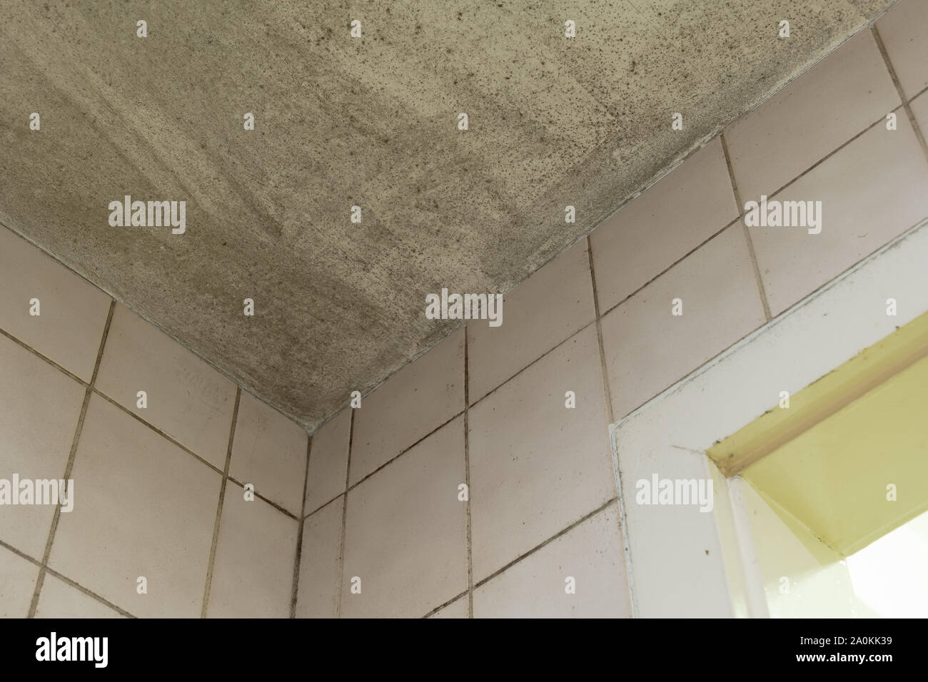 Spot of mold, mould, mildew or fungas on white ceiling above dirty tile pale pink wall and door in toilet. Stock Photo