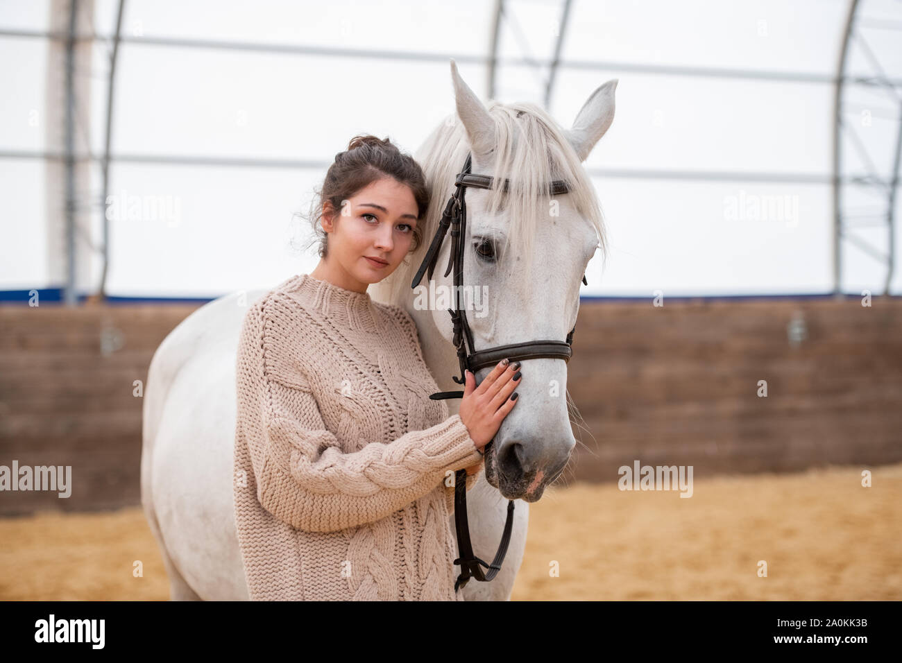 Pretty young brunette woman in casual sweater standing close to white horse Stock Photo