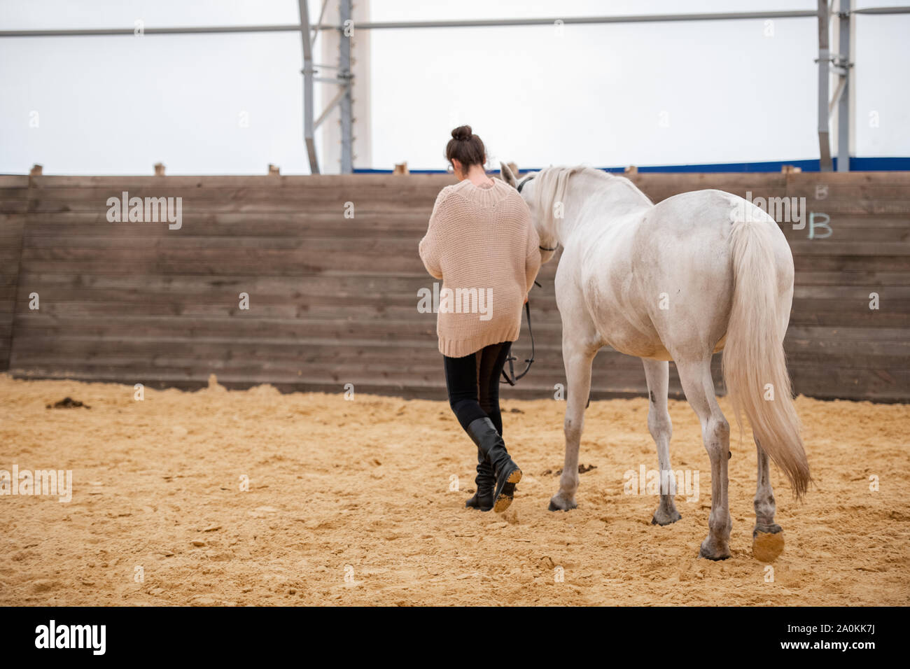 Young woman holding bridles of white racehorse while moving down sandy arena Stock Photo