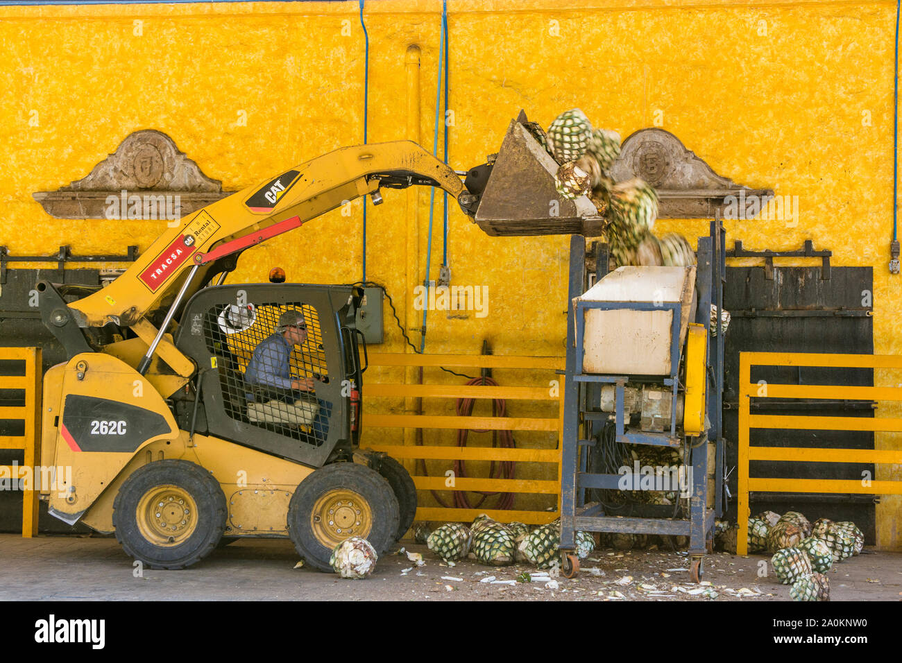 Loading agave into hopperJose Cuervo Tequila distillery, Tequila